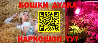гидропоника Жуковский