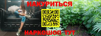 шишки Заволжье