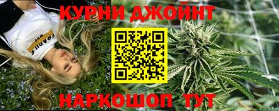шишки Заволжье